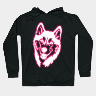 Pink Neon Husky Hoodie